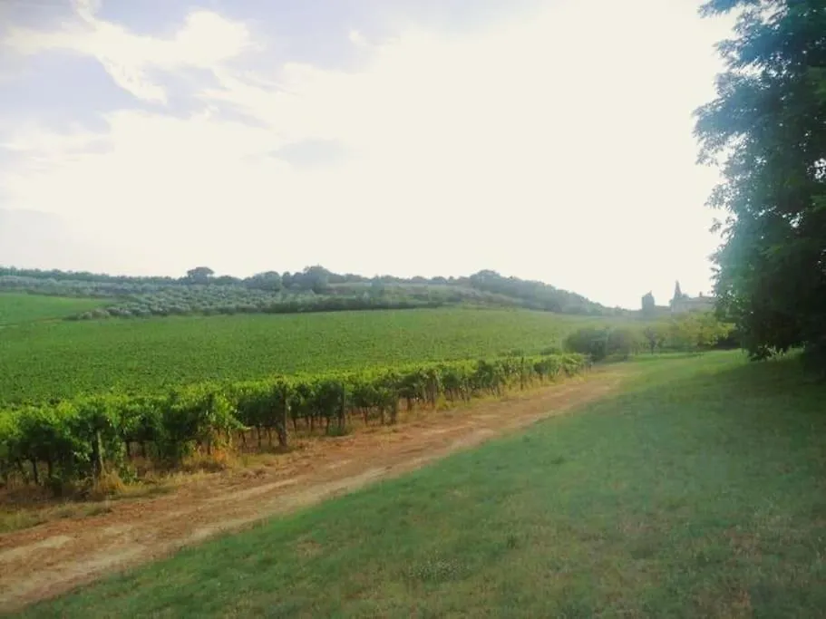 Borgo Di Vino Apartment Castelnuovo Berardenga