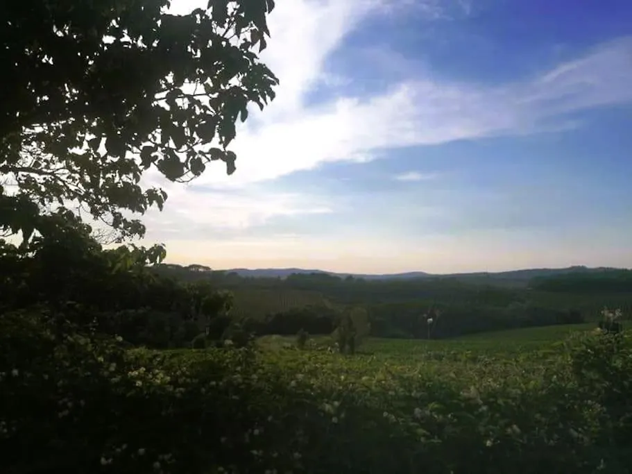 Borgo Di Vino Apartment Castelnuovo Berardenga