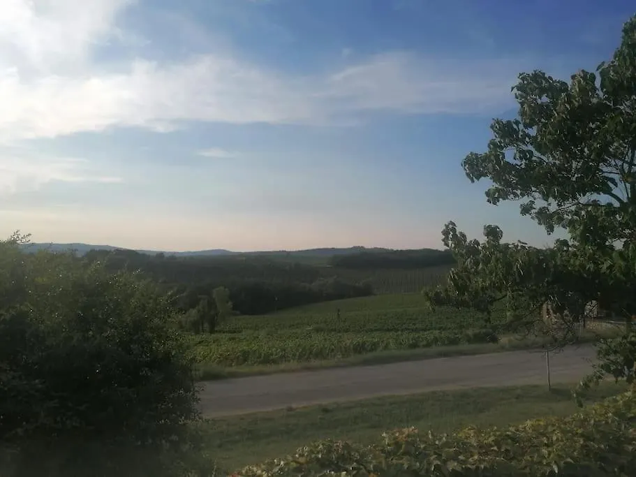 Borgo Di Vino Apartment Castelnuovo Berardenga 0*,